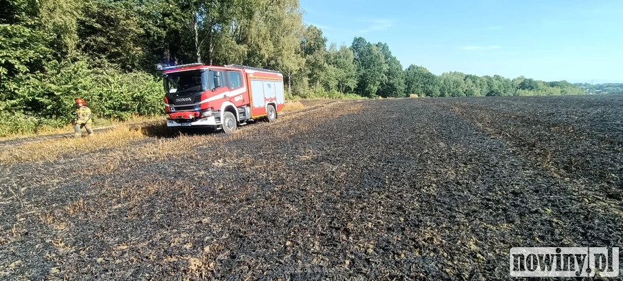 fot. PSP Wodzisław Śląski