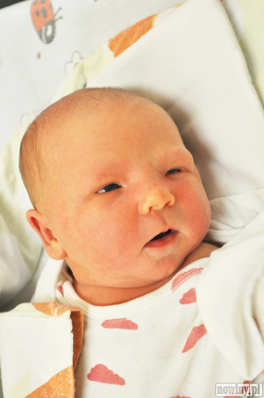 Oliwia Mokry jest wodzisławianką, ale urodziła się w Raciborzu. 13 marca o 19.35 ważyła 4020 g i mierzyła 58 cm. Daria i Roman są jej rodzicami, a Nadia - jej siostrą.