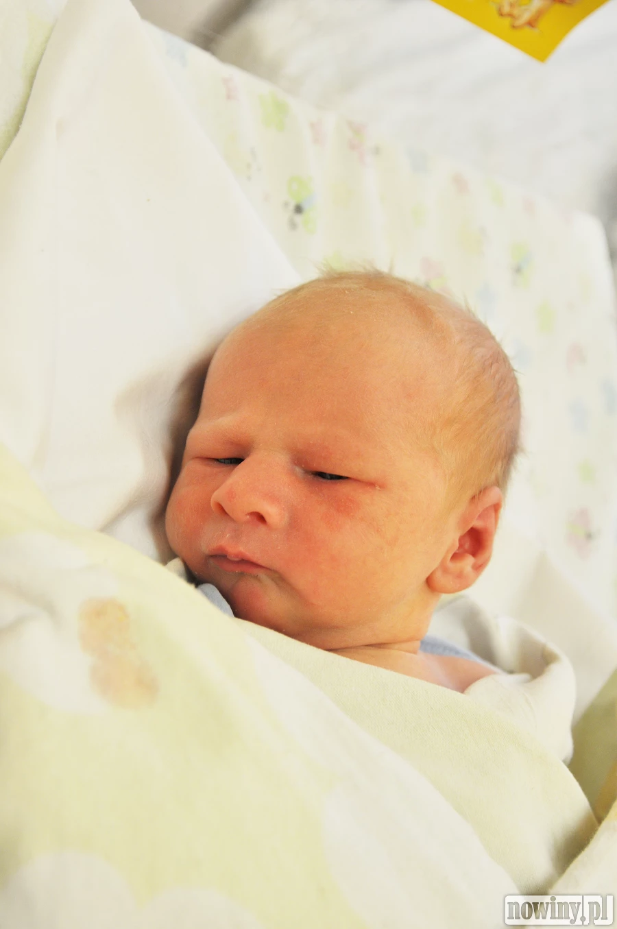 Staś Szostek przybył na Gamowską z Rybnika. Mama Magda i tato Marcin przywitali go 30 marca o 9.18. Przy wadze 3100 g długość wyniosła 53 cm. W domu czekają na brata Agata i Zuzanna.