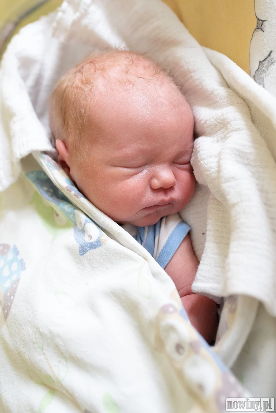 Witajcie! Nazywam się Władysław Kuczok. Urodziłem się 5.04 o 1.16. Ważyłem 3920 g i mierzyłem 55 cm. Moimi rodzicami są Małgorzata i Rafał z Olzy. W domu czeka na mnie starsze rodzeństwo, Julia i Staś.