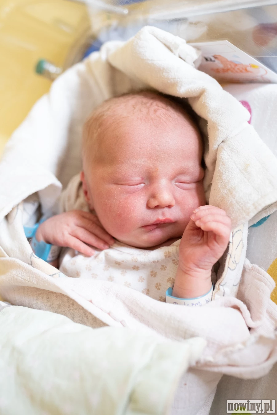 Cześć! Nazywam się Michał Siedlok. Urodziłem się 4.04 o 12.00 Ważyłem 3760 g i mierzyłem 56 cm. Moimi rodzicami są Joanna i Damian z Radlina. W domu czeka na mnie starszy brat Aleksander.