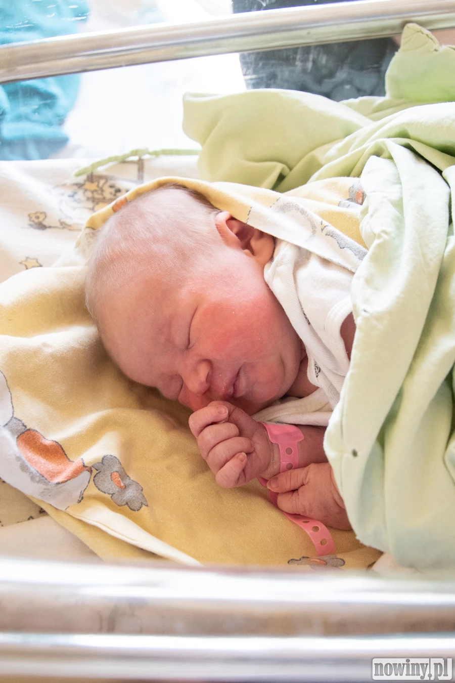 Witaj świecie! Nazywam się Klara Kościelny. Urodziłam się 20.04 o godz. 4.40. Ważyłam 3580 g i mierzyłam 53 cm. Moimi rodzicami są Marta i Jan z Gorzyc. W domu czeka na mnie starszy brat Ignacy.