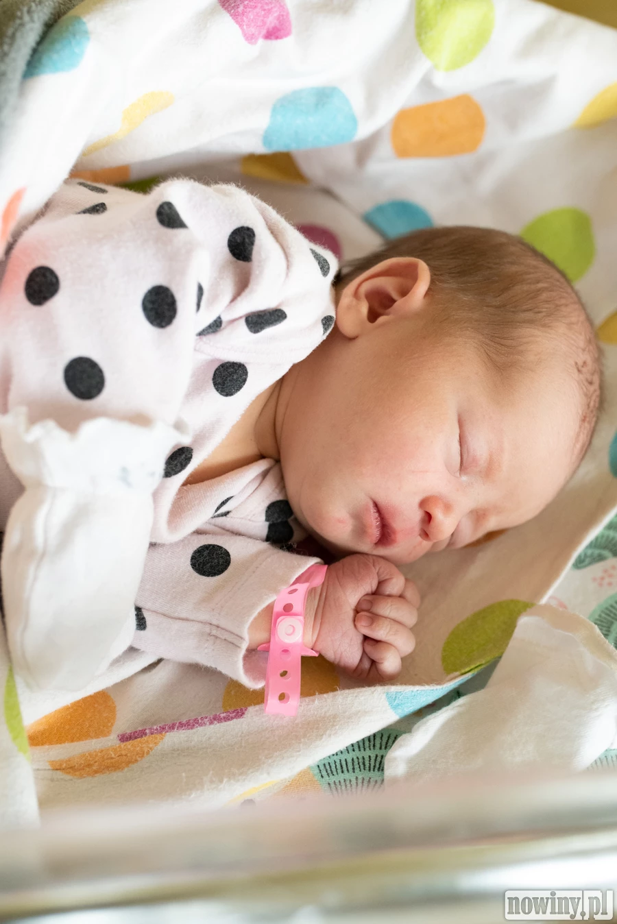 Witam wszystkich! Nazywam się Hania Drzeniek. Urodziłam się 17.05 o godz. 15.20. Ważyłam 3120 g i mierzyłam 53 cm. Moimi rodzicami są Ewa i Janusz z Wodzisławia Śląskiego. Nie mogę się doczekać, aż poznam swojego braciszka, Mikołaja.