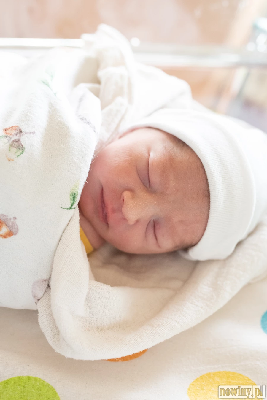 Cześć! Nazywam się Dawid Kovalov. Urodziłem się 18.05 o godz. 8.15. Ważyłem 2760 g i mierzyłem 54 cm. Moimi rodzicami są Valeriia i Oleh z Pszowa. W domu czekają na mnie dwie starsze siostry, Maria i Polina.