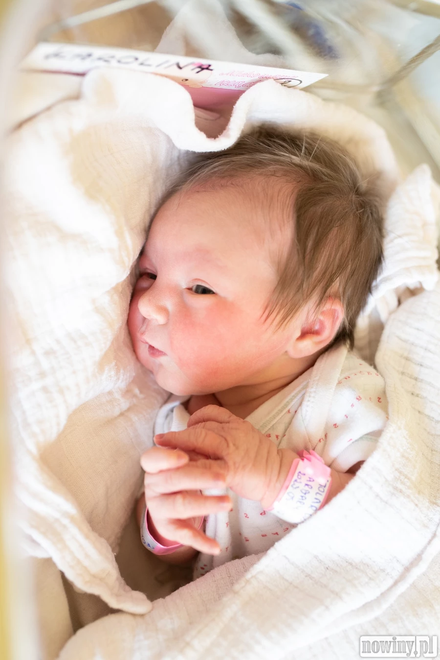 Witaj świecie! Nazywam się Karolina Stolarczyk. Urodziłam się 30.05 o 10.30. Ważyłam 3450 g i mierzyłam 56 cm. Moimi rodzicami są Barbara i Jan z Rybnika.