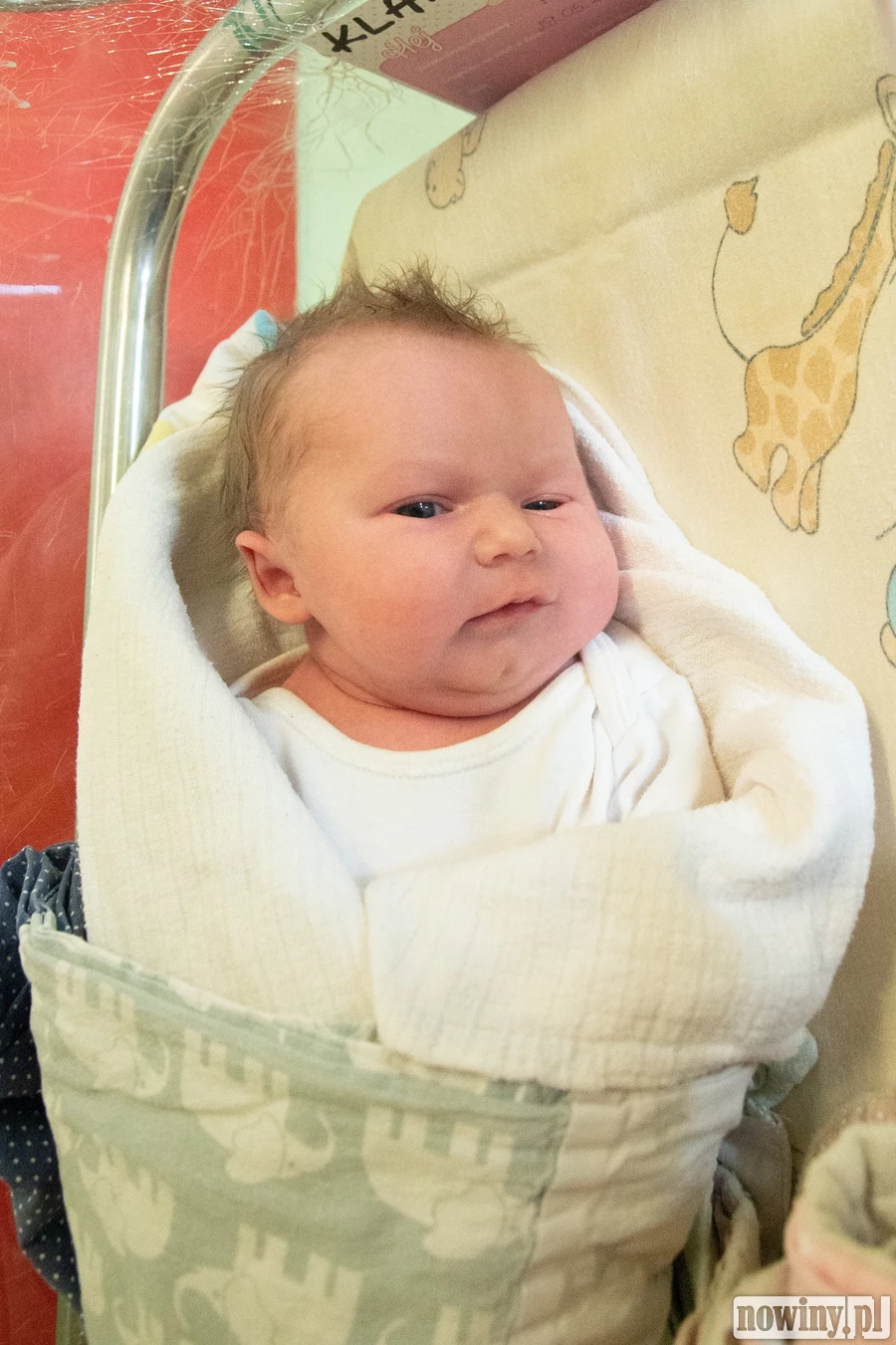 Mała Klara Kochan pojawiła się na świecie 29.05 o 8.35. Ważyła 3580 g i mierzyła 56 cm. Jej rodzicami są Karina i Konrad z Wodzisławia Śląskiego. W domu na Klarę czeka starsza siostra Kornelia.