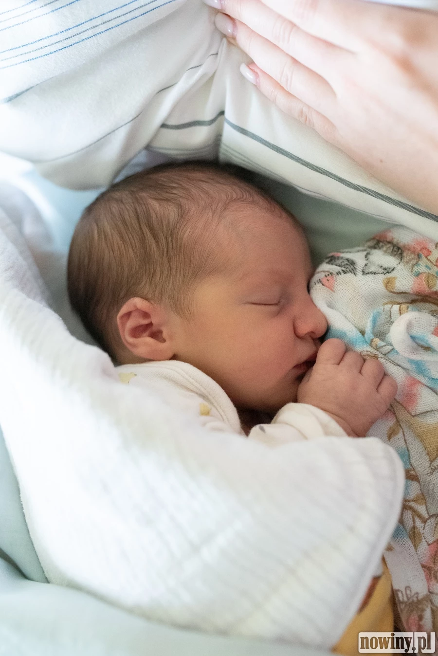 Na zdjęciu słodko śpi maleńka Zosia Fiedorowicz. Dziewczynka urodziła się 12.06 o 19.50. Ważyła 2840 g i mierzyła 52 cm. Jej rodzicami są Wiktoria i Piotr z Wodzisławia Śląskiego.
