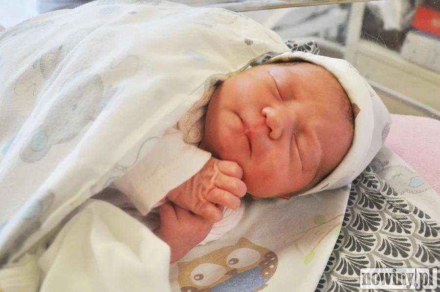 Hania Płaczek zjawiła się na świecie 15 czerwca o 4.35. Ważyła wtedy 3290 g i mierzyła 55 cm. Mama Aleksandra i tato Martin są mieszkańcami Makowa.