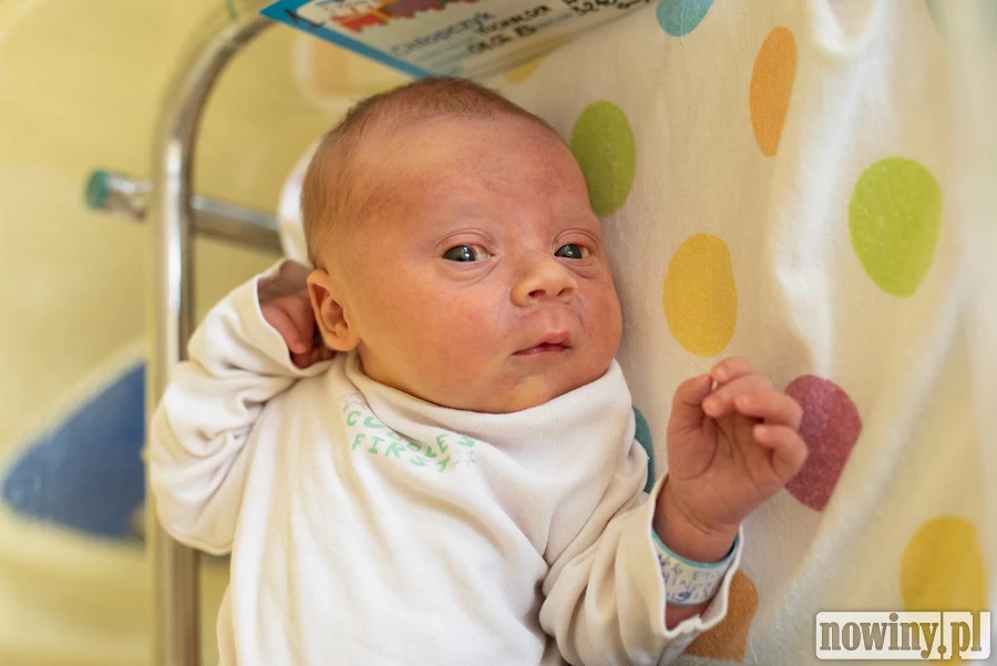 Cześć! Nazywam się Mikołaj Sztwiorok. Urodziłem się 8.06 o 14.27. Ważyłem 3240 g i mierzyłem 54 cm. Moimi rodzicami są Weronika i Kamil z Jastrzębia-Zdroju.