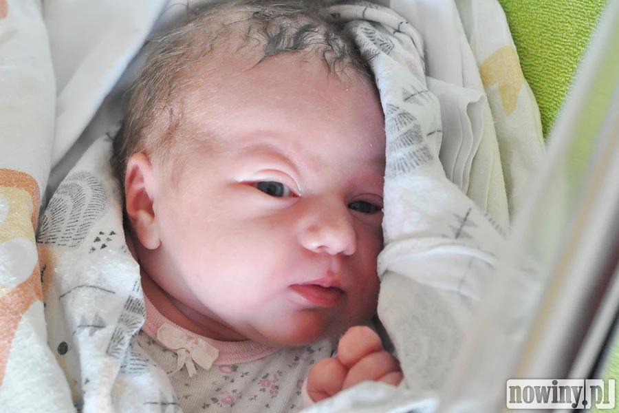Tola Sadło będzie obchodzić urodziny 1 lipca. Urodził się o 3.09. Ważyła wówczas 3710 g i mierzyła 56 cm. Mama Małgorzata i tato Marcin są mieszkańcami Gaszowic. W domu czekają bracia Błażej i Radosław.