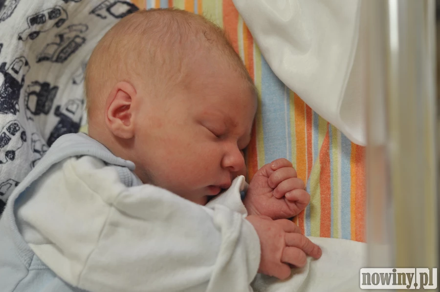 Maksym Kushnir jest synkiem Radmyly i Witalija. Urodził się 18 lipca o 23.30. Ważył wtedy 2540 g i mierzył 50 cm. Rodzina mieszka w Rybniku.