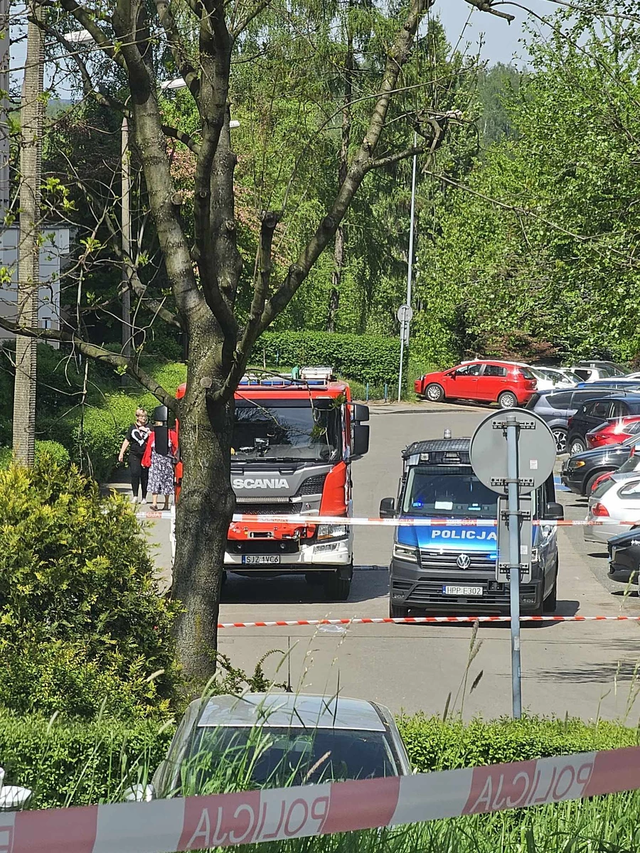 Jastrzębie-Zdrój, akcja przy ul. Katowickiej, fot. A. Klocek