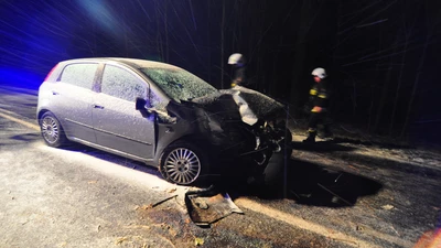 AKTUALIZACJA: Wypadek w Pogrzebieniu. Kobieta uderzyła w drzewo [FILM], [ZDJĘCIA]