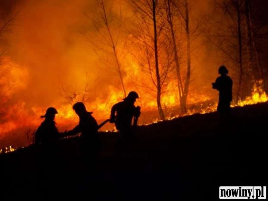 Płoną trawy w Zawadzie