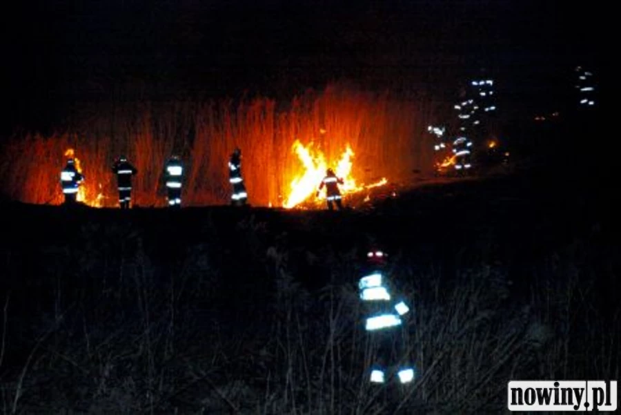 Strażacy z dwóch powiatów gasili pożar traw