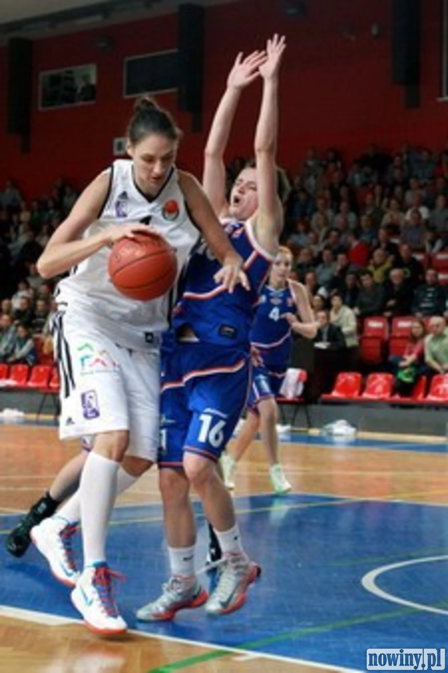 Kolejna zawodniczka w Basket ROW