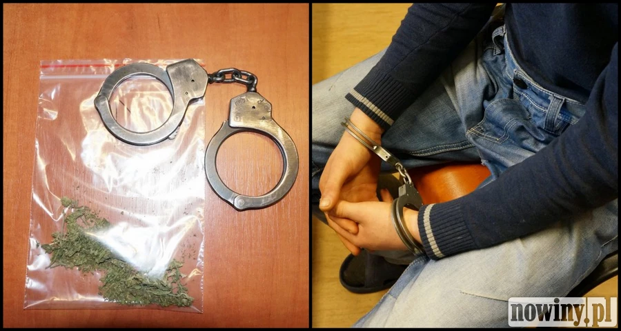 19-latek zatrzymany przez policję za posiadanie marihuany