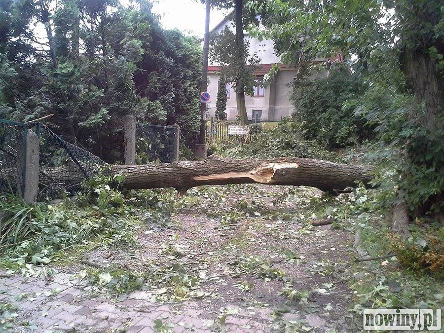 Wichura zdewastowała też park w Rydułtowach