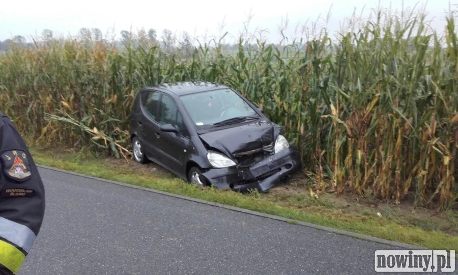 Zderzenie na Krakusa