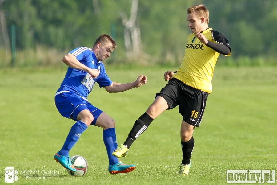 SENIORZY – wyniki, tabele, zapowiedzi