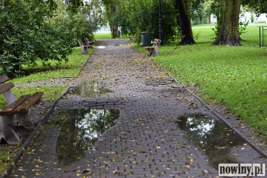 Spacerem przez park miejski