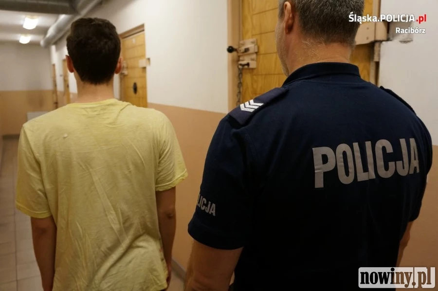 Jedenaście działek marihuany