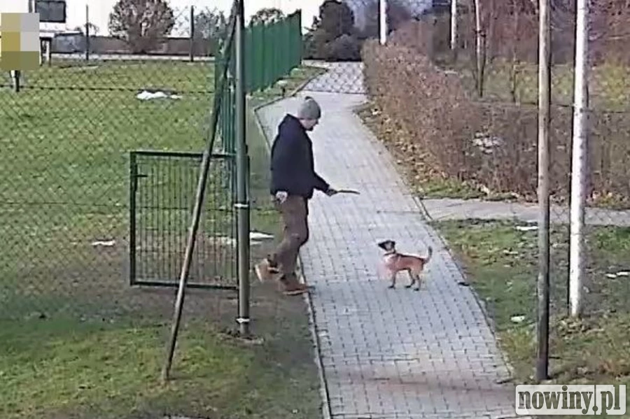 Policja poszukuje tego mężczyzny z pieskiem. Mógł popełnić przestępstwo