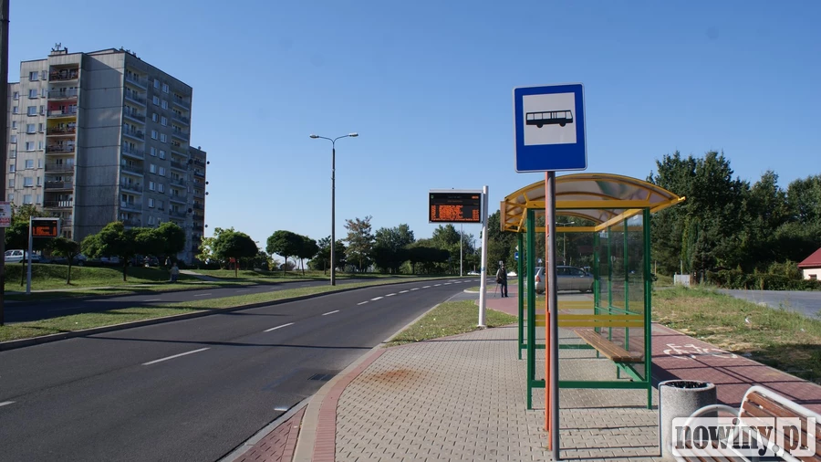 Na groby bezpłatną komunikacją miejską