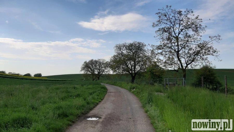 Ułatwiają życie rolnikom