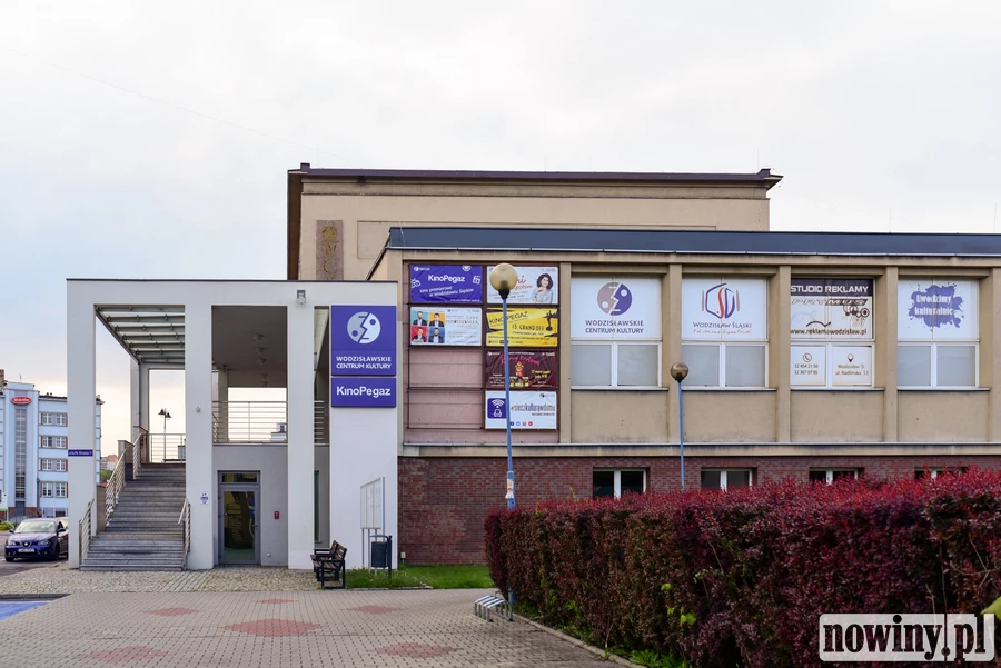 Będą tworzyć obrazy... z mchu