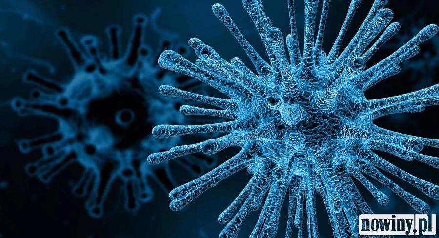 Sytuacja epidemiologiczna w Rybniku. Nowe przypadki zakażeń, sporo ozdrowieńców i cztery zgony