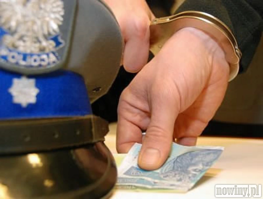 Kierowca zawodowy nie chciał punktów karnych, próbował przekupić policjantów. Grozi mu więzienie