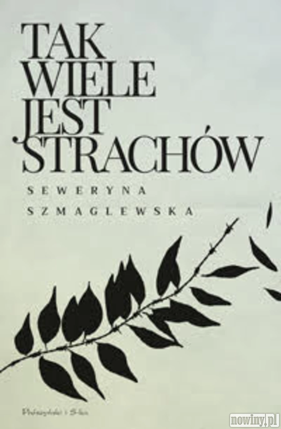Książka na wakacje: Tak wiele jest strachów