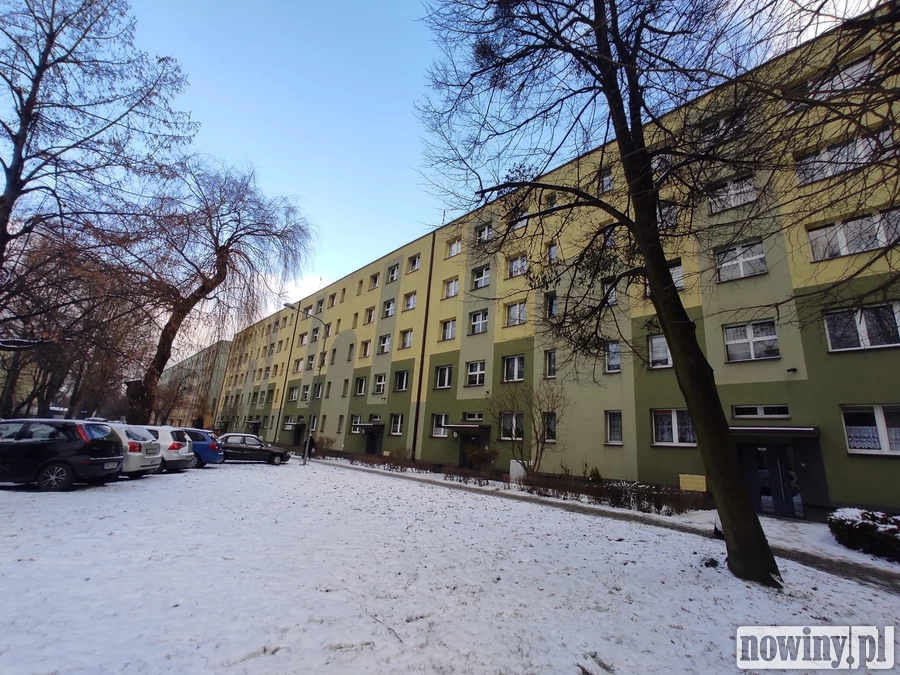 Śmierdzący problem na ul. Tysiąclecia w Wodzisławiu. Lokatorka zbiera odpadki, zarząd ma związane ręce