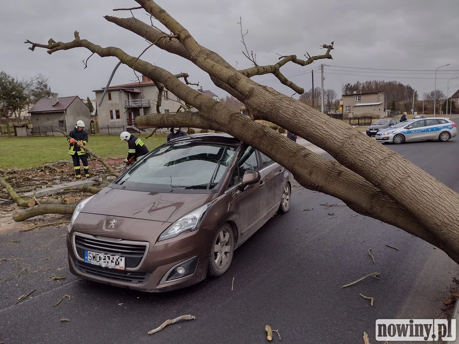 Orkan Nadia w powiecie raciborskim. Strażacy wyjeżdżali do akcji 24 razy