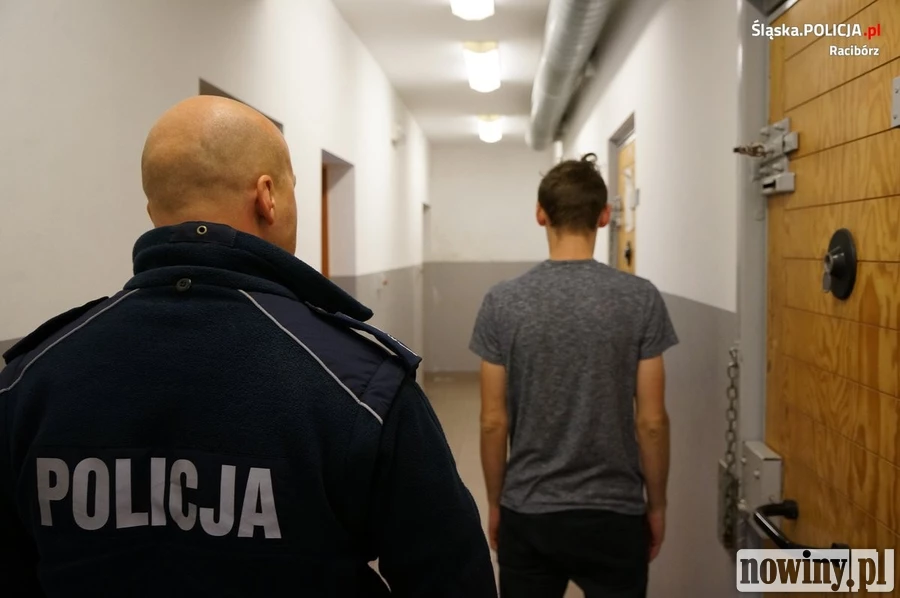 Szarpał, dusił i bił swoje dzieci i żonę. Domowy oprawca na rozprawę poczeka w areszcie