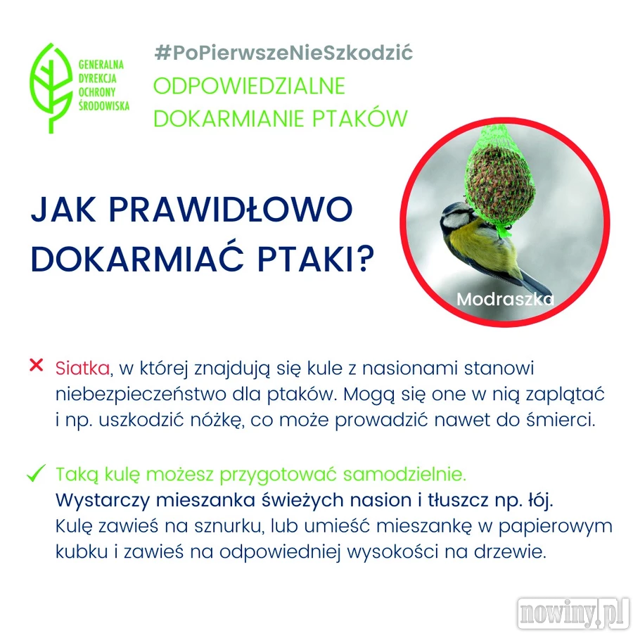 Ptasie dokarmianie