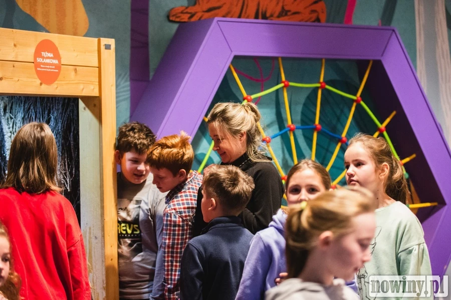 Artystyczne ferie w Wodzisławskim Centrum Kultury dobiegły końca