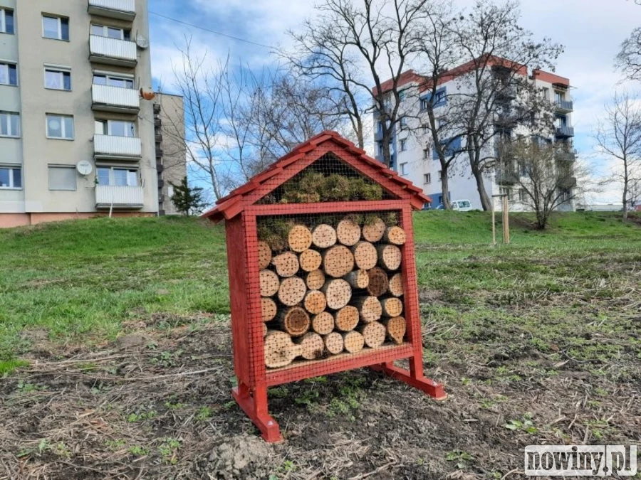Hotele dla owadów stanęły w kilku miejscach Raciborza. Gdzie konkretnie?