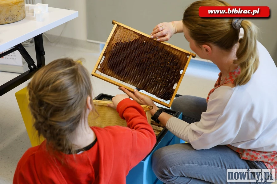 Ile kwiatów muszą odwiedzić pszczoły aby wyprodukować 1 kilogram miodu?