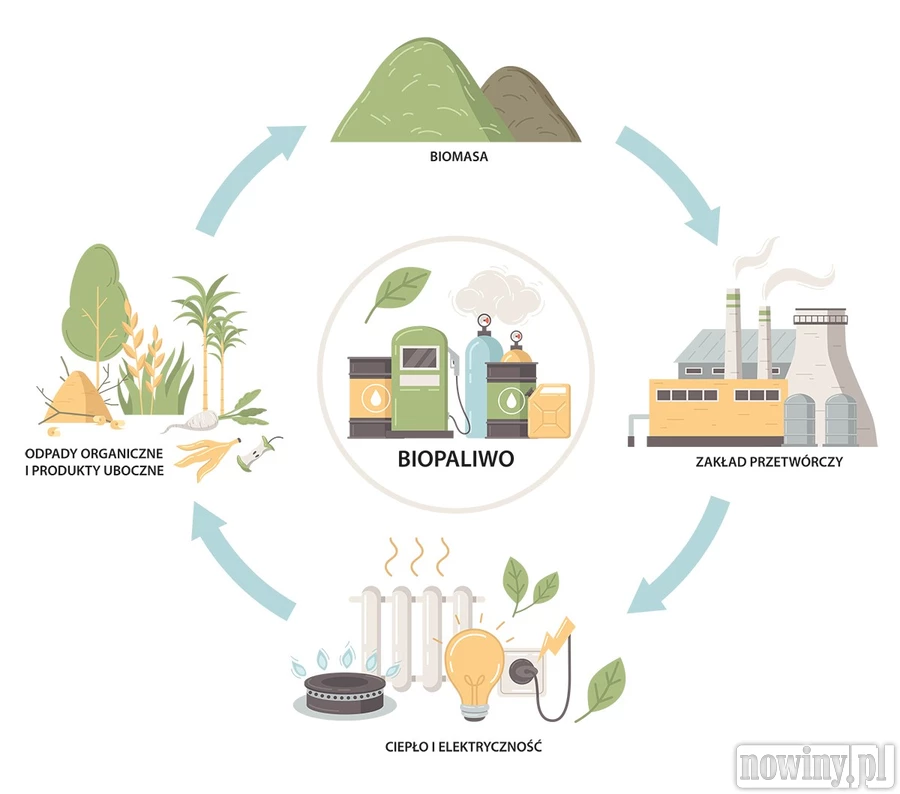 Rolnicy poratują polską energetykę biogazem?